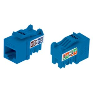 Módulo RJ45 Cat6 Nexxt Azul