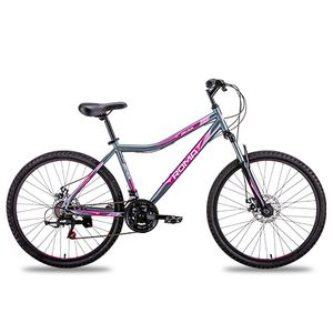 BICICLETA ROMA BRAVA 2.0