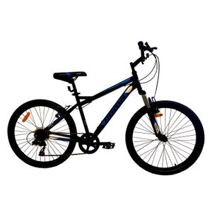 ROMA LUPO 1.0 RODADO 24