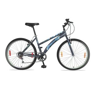 BACCIO Bicicleta ALPINA Lady rodado 24 Gris con Turquesa