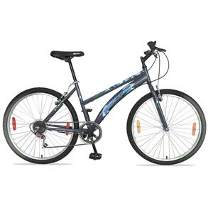 BACCIO Bicicleta ALPINA Lady rodado 26 Gris con Turquesa