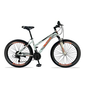BACCIO Bicicleta SUNNY Lady rodado 26 Gris