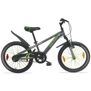 Bicicleta infantil Baccio Bambino DLX 20