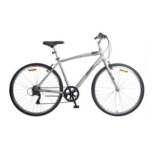 OKAN Bicicleta de paseo VIENA hombre rodado 28 Gris