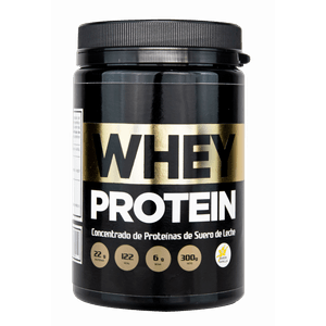 Proteina Whey Protein 100% Top Whey Protein X 1 Kg Vainilla