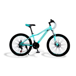 Bicicleta Kioto R24