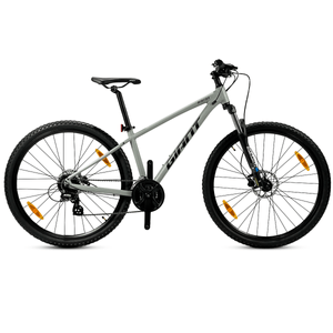 Bicicleta Giant Rincon 1 Talle S/Gris aluminio R29 Supergym