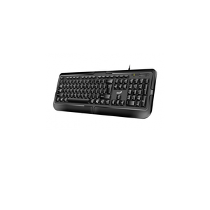 Teclado Genius PS2 Español KB-118 Negro