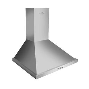 Campana Chimenea Extractora Delne Top. Acero Inox Europea