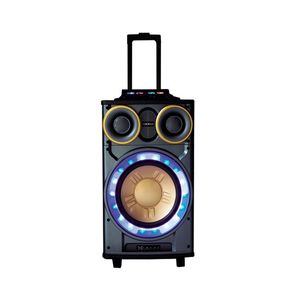 Sistema de Parlantes Profesional Activo 12000W Xion XI-XT55-1
