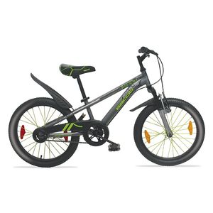 BACCIO Bicicleta BAMBINO DLX rodado 20 Gray
