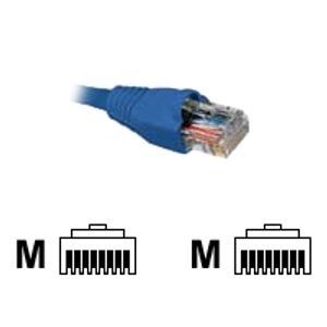 Patchcord Cat5e 10ft 3mts Nexxt Azul